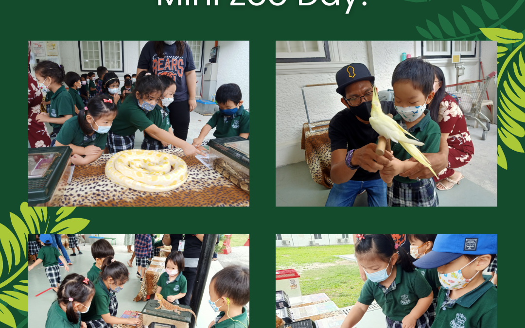 Mini Zoo Day at Kindergarten (June 2022)